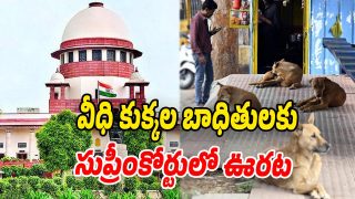 Stray-Dog-Case (Image source Twitter)