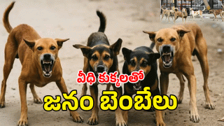 Jogulamba Gadwal ( image credit: twitter)