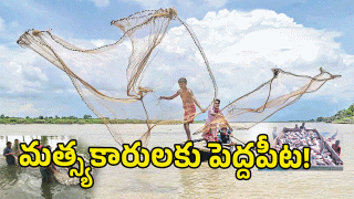 Telangana Govt ( image credit: swetcha reporter)