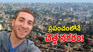 Traveller (Image Source: Twitter)