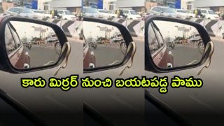 Viral Video: వామ్మో ఇదేం వింత.. కారు మిర్రర్ నుంచి బయటకొచ్చిన పాము.. వీడియో వైరల్