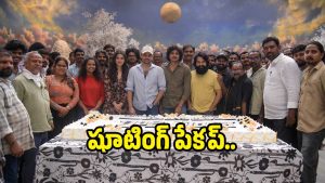 andhra-king-taluka..( image: X)