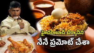 CM Chandrababu Naidu (imagecredit:twitter)