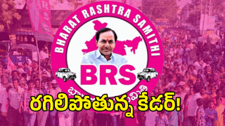 BRS ( image credit: twitter)