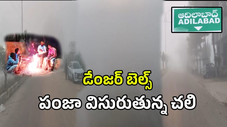 Adilabad Cold Wave (imagecredit:swetcha)