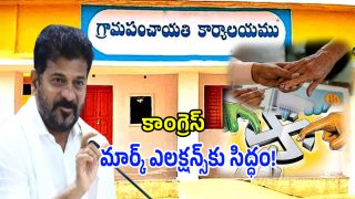 Local Body Elections (imagecrdit:twitter)