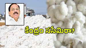 Tummala Nageswara Rao (imagecredit:swetcha)