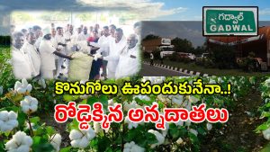 Jogulamba Gadwal (imagecredit:swetcha)