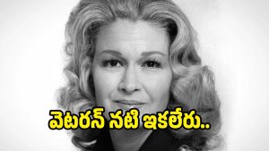 diana-ladd( image :x)