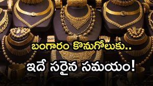 gold nov 01 ( Image Source: Twitter)