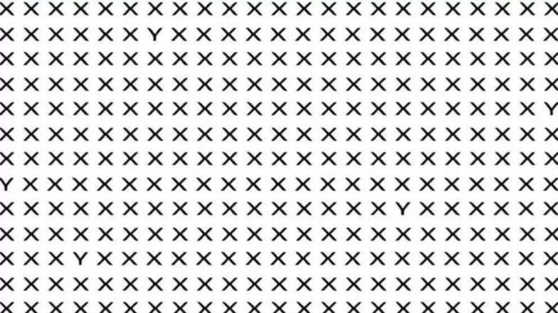 iQ ( Image Source: Twitter)