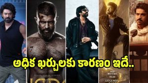 movie-budget-high( image :X)