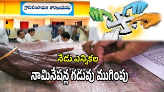 Local Body Elections (imagecreit:twitter)