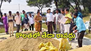 Collector Adwait Kumar Singh (imagecredit:swetcha)