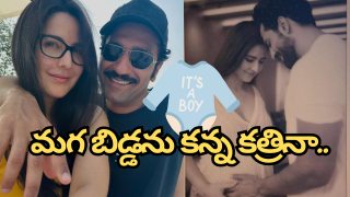 katrina kaif(image :X)