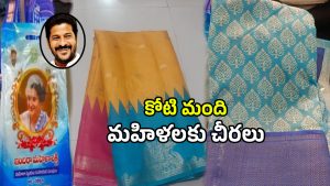 Indiramma Sarees (imagecredit:twitter)