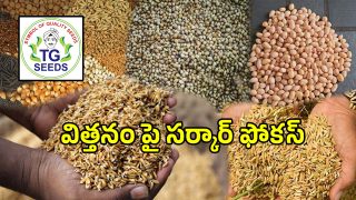 TG Seeds (imagecredit:twitter)