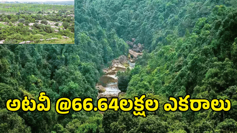 Telangana Forest ( IMAGE CREDIT: SWETCHA REPORER)