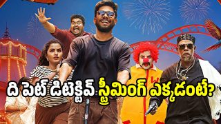 the-pet-detective(x)