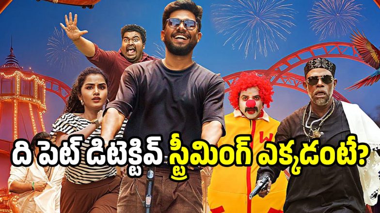 the-pet-detective(x)