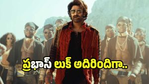 the-rajasab (image :x)