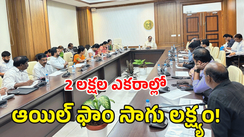 Thummala Nageswara Rao (image credit; swetcha reporter)