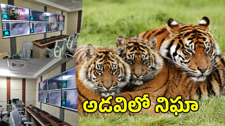 Tiger Protection (imagecredit:twitter)