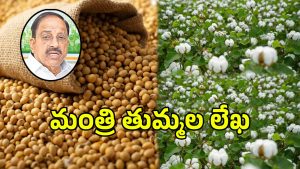 Tummala Nageswara Rao (imagecredit:twitter)