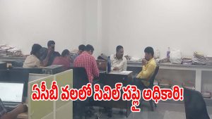 ACB Rides (imagecredit:swetcha)