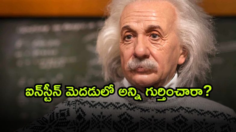 Albert Einstein ( Image Source: Twitter)