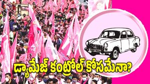 BRS Party ( image credit: twitter)