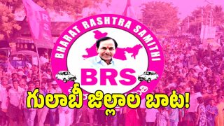 BRS Party ( image credit: swetcha reporter)