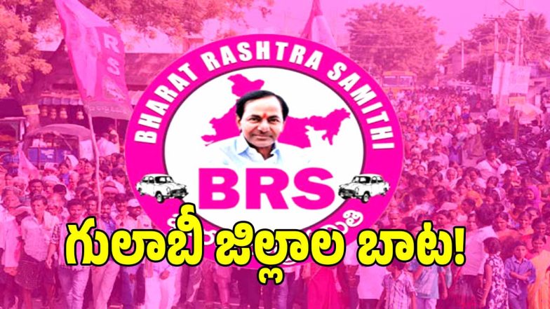 BRS Party ( image credit: swetcha reporter)