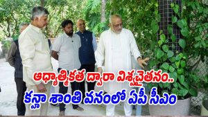 CM-Chandrababu (Image source Swetcha)