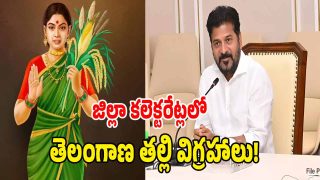 CM Revanth Reddy ( image CREDIT: SWETCHA REPORTER)