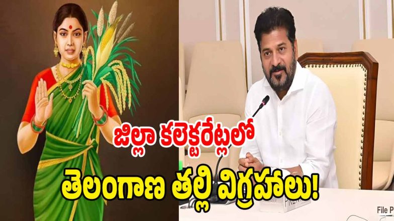 CM Revanth Reddy ( image CREDIT: SWETCHA REPORTER)