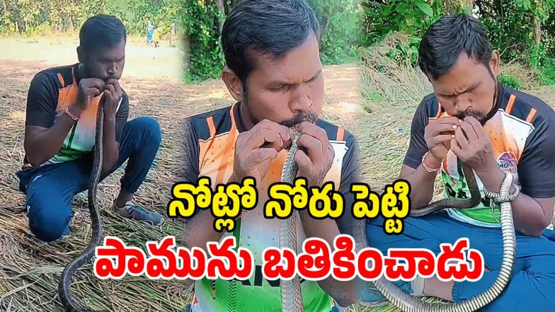 CPR to Snake (Image Source: Twitter)