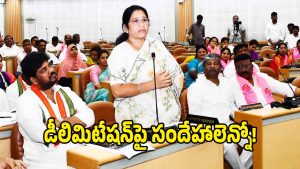 GHMC Council ( image credit: swetcha reporter)