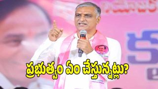 Harish Rao ( image credit: twitter)