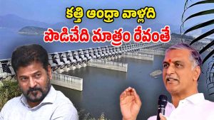 Harish Rao on CM Revanth (Image Source: twitter)