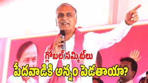 Harish Rao ( image credit: sweetcha reporter)