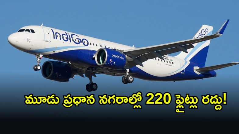 IndiGo ( Image Source: Canva )