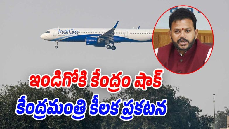 Indigo flight (Image source Twitter)