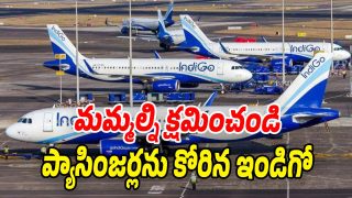 Indigo flights (Image source x)