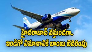 Indigo-Plane (Image source X)