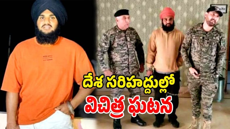 Indo - Pak border (Image Source: Twitter)