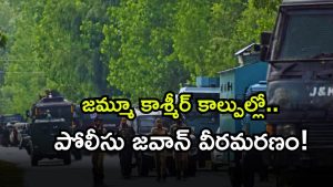 Jammu Kashmir Encounter ( Image Source: Twitter)