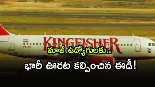 Kingfisher ( Image Source: Twitter)