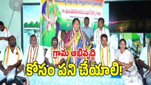 Seethakka: ( image credit: swtcha reporter)