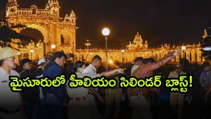 Mysuru Palace ( Image Source: Twitter)